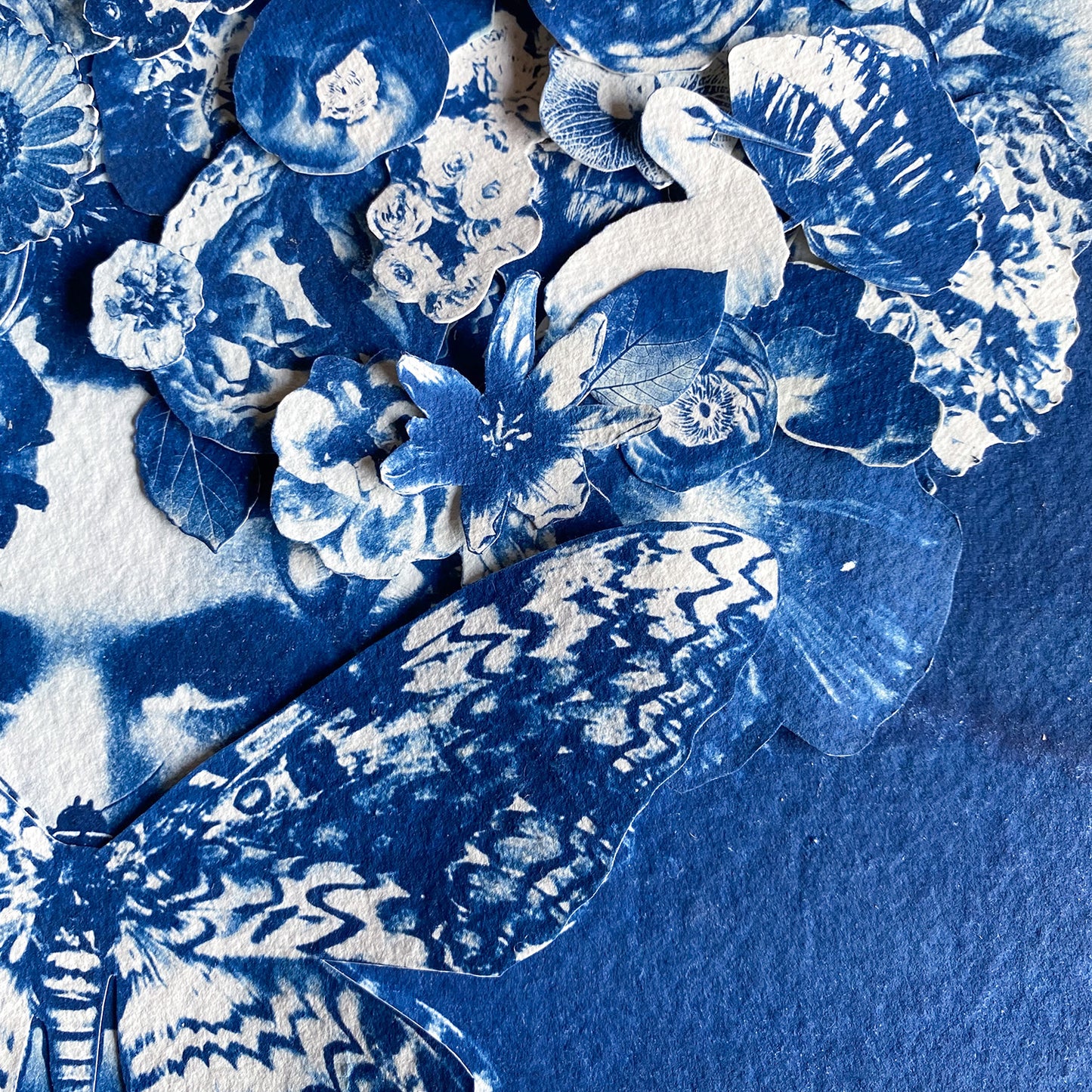 The Flowering Genius (Ode To Maria Merian)