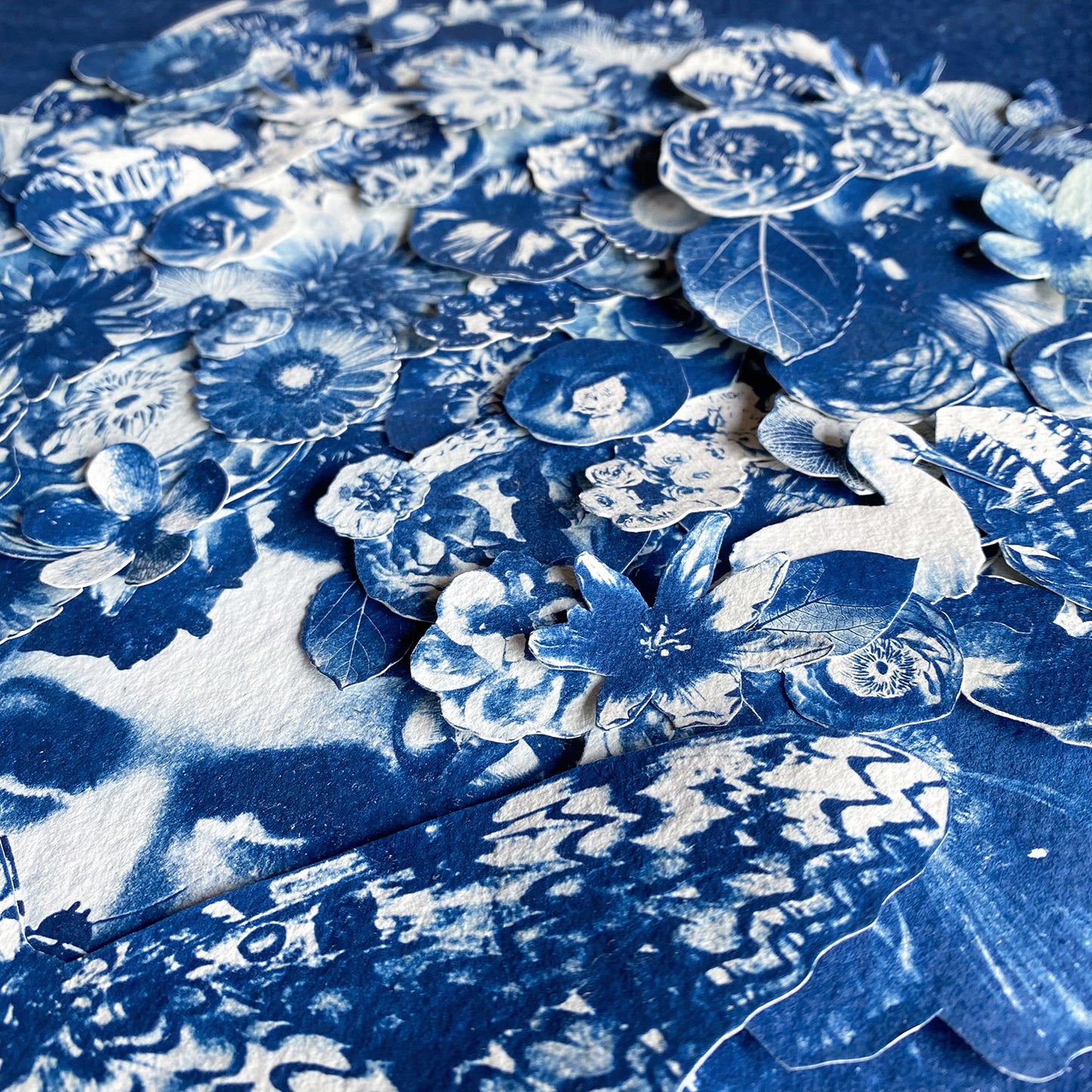 The Flowering Genius (Ode To Maria Merian)