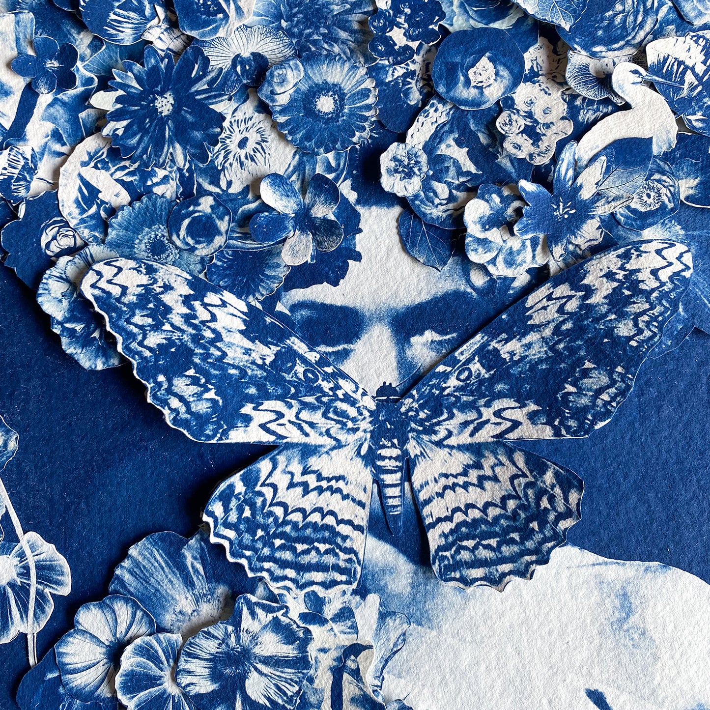 The Flowering Genius (Ode To Maria Merian)