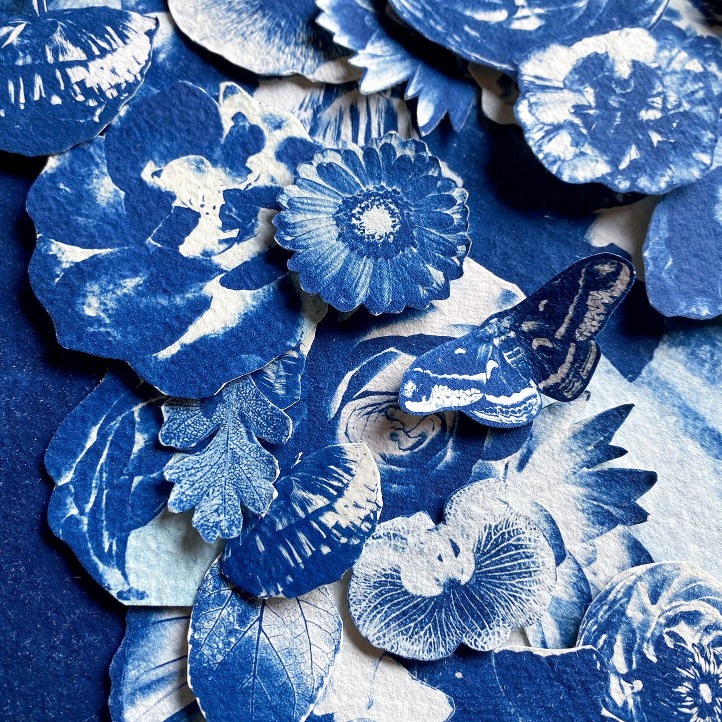 The Flowering Genius (Ode To Maria Merian)