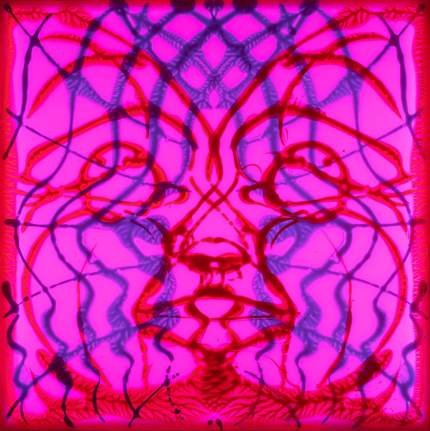 Amerikkka the Beautiful on LSD