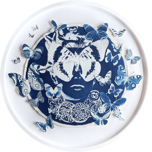 Metamorphisis of Marie