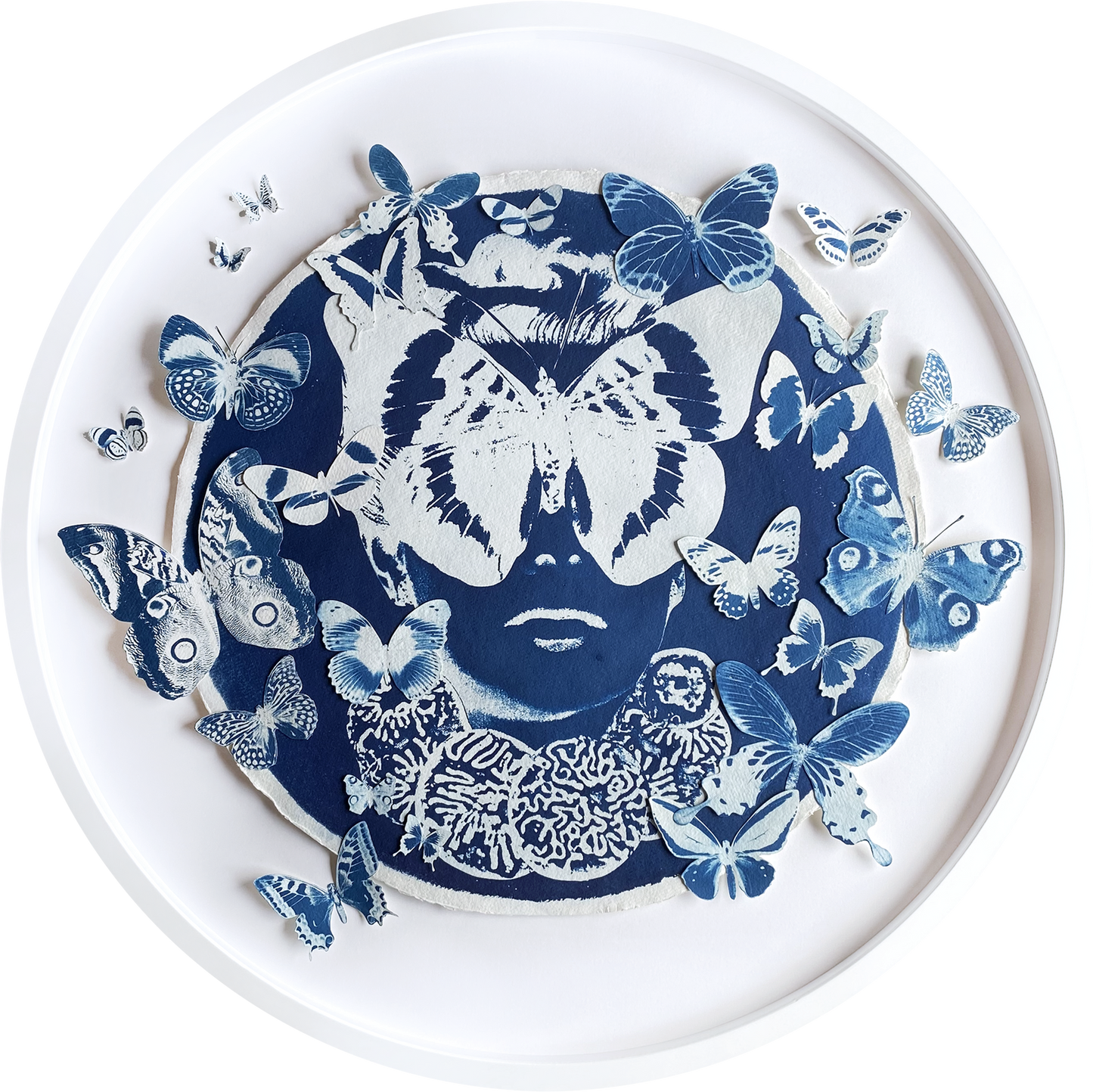 Metamorphisis of Marie