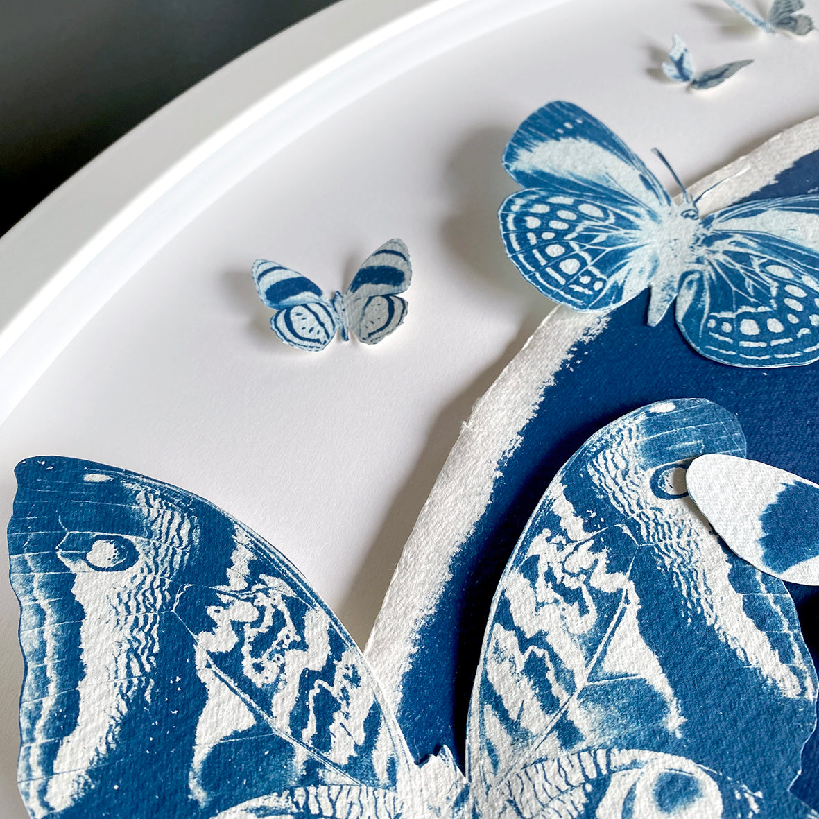 Metamorphisis of Marie