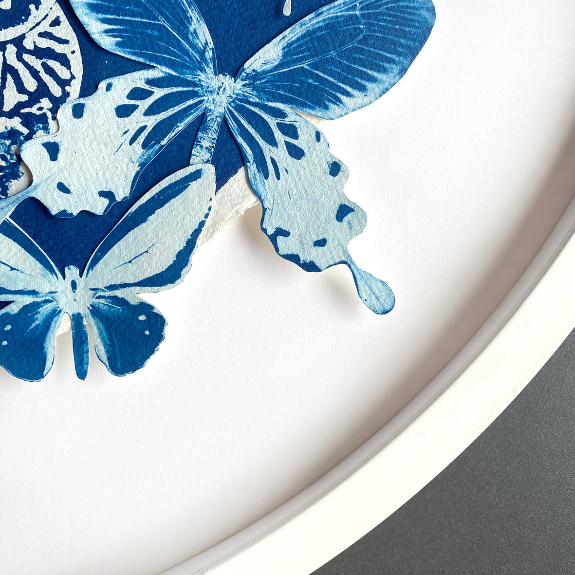 Metamorphisis of Marie