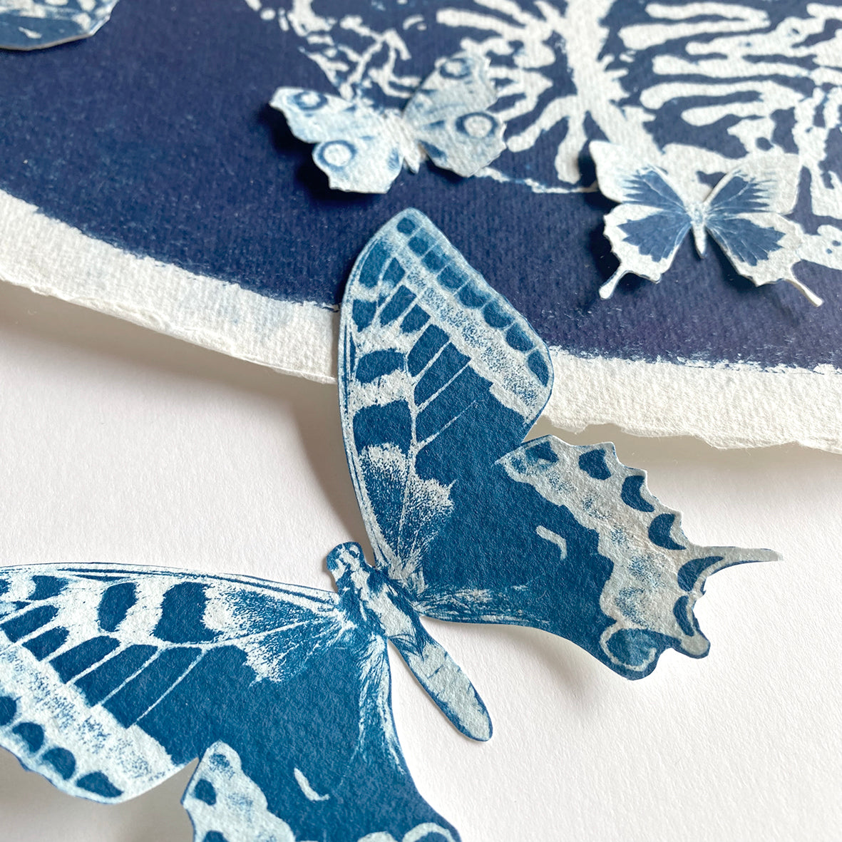 Metamorphisis of Marie