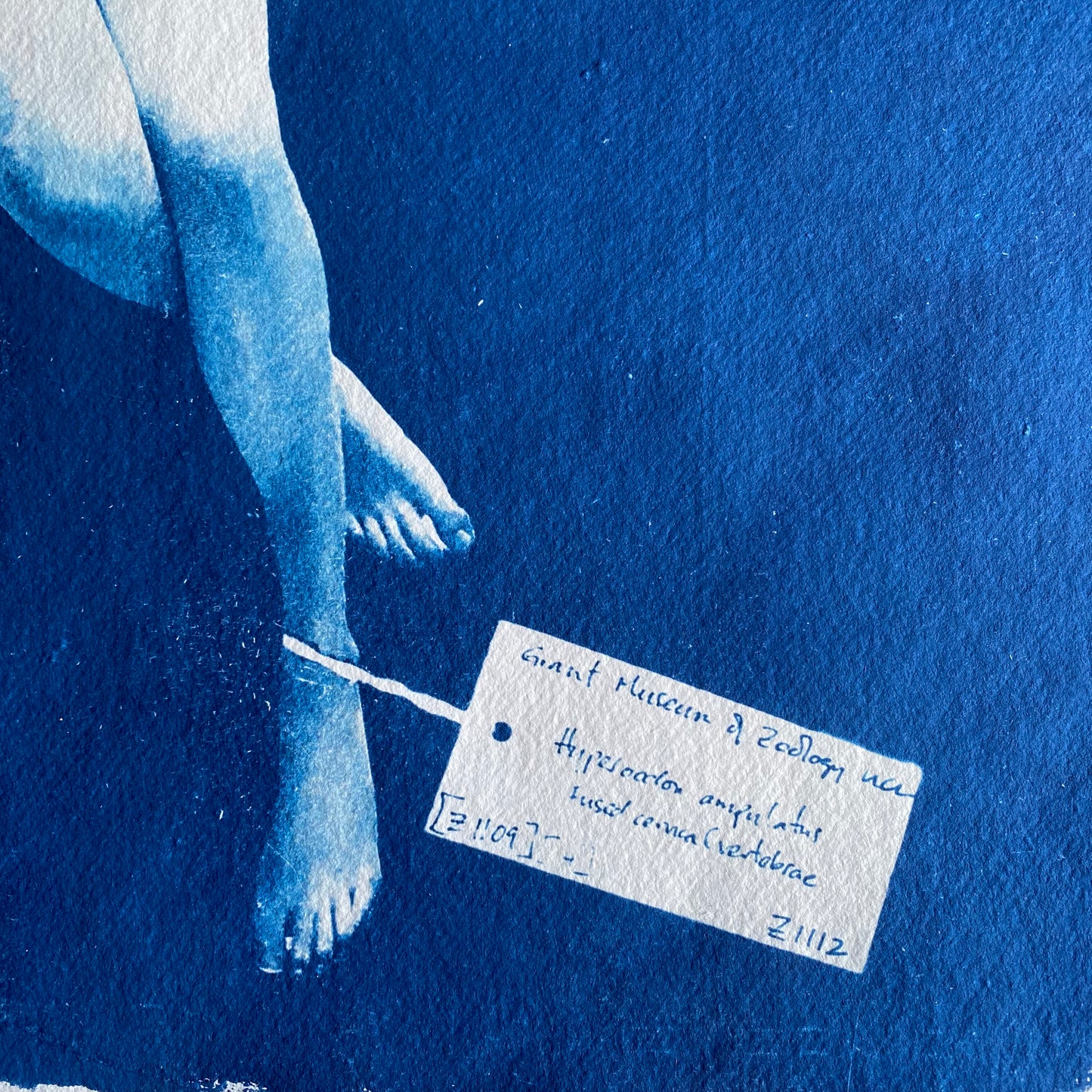 Queen of the Waves (Bathed in Moonlight)