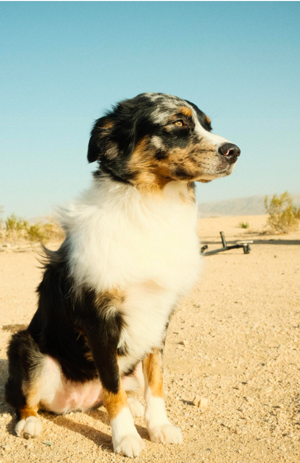 But You Can Call me Nila