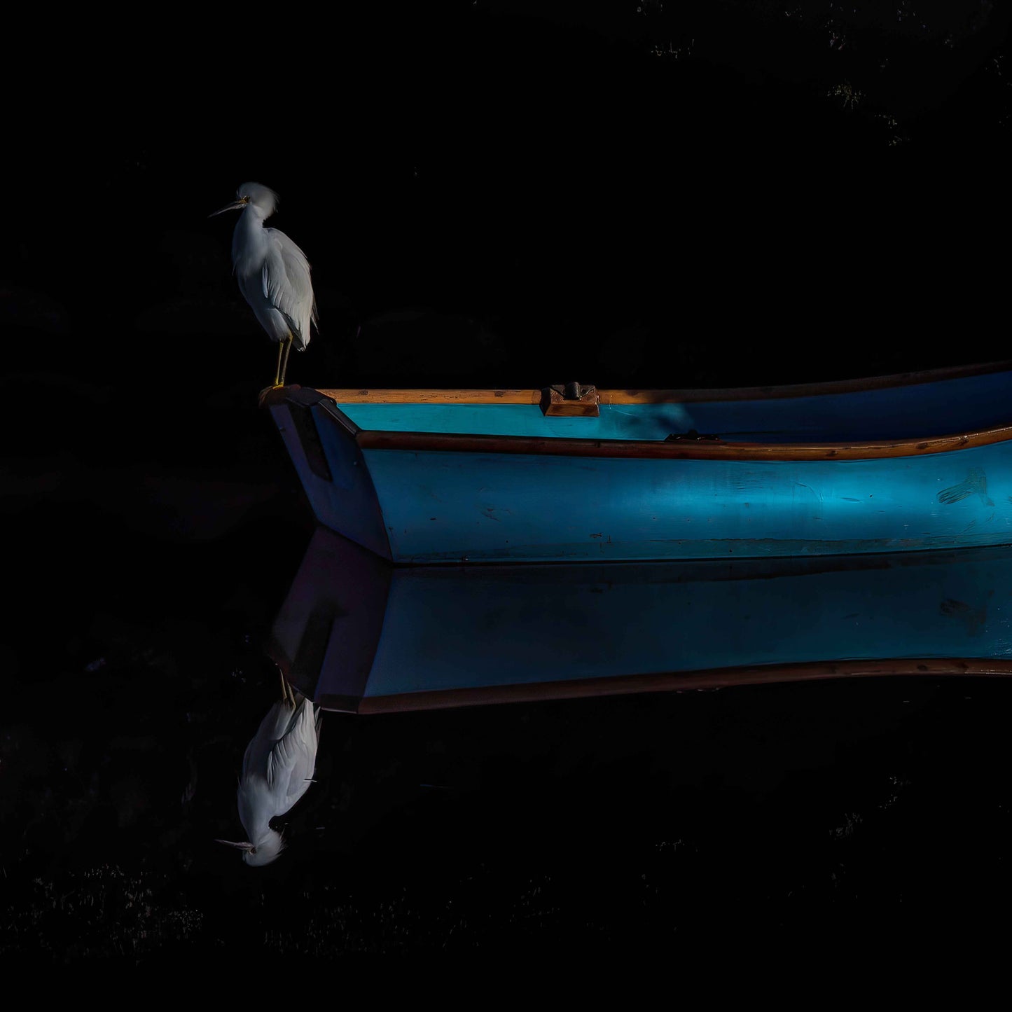 Blue Row Boat