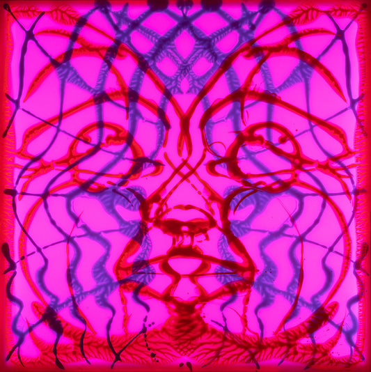 Amerikkka the Beautiful on LSD