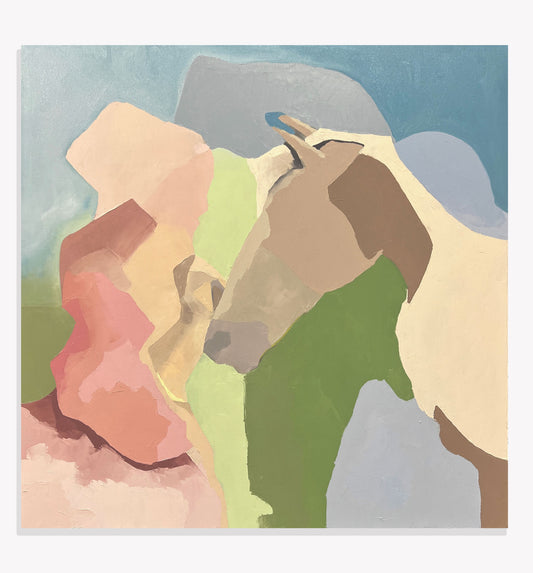 Mornings in Wellington