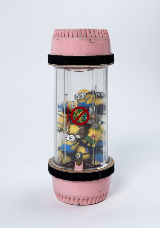 24 Minion Dollars