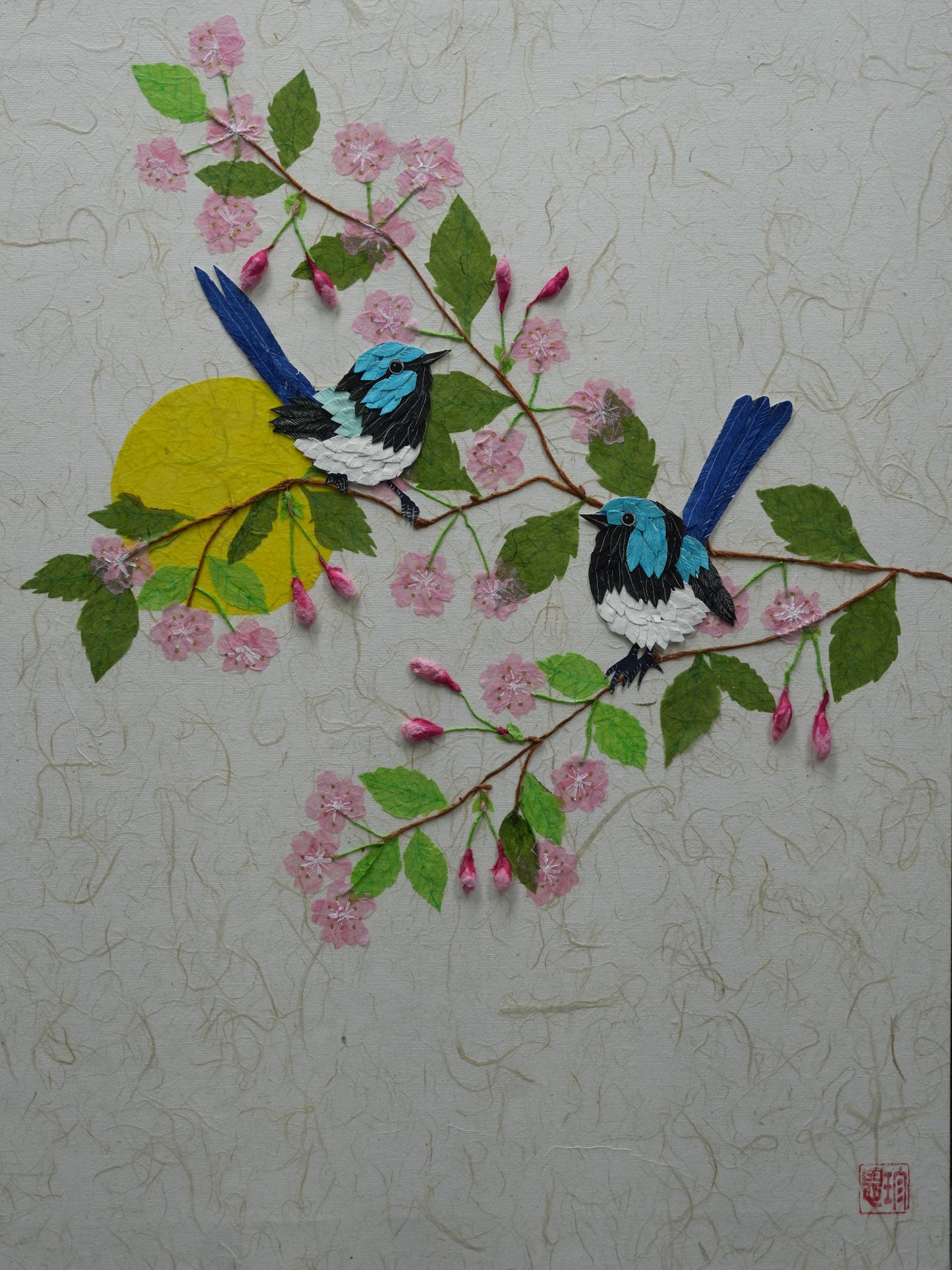cherry blossoms